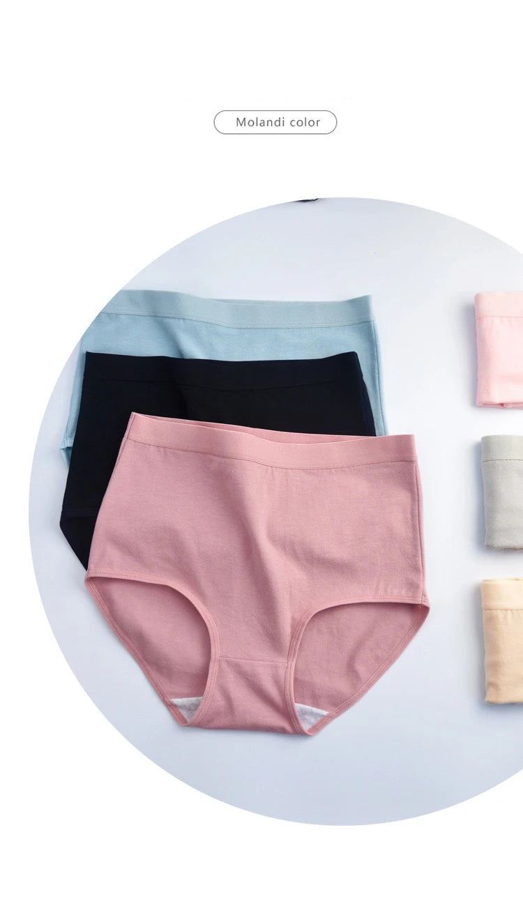 Bravellea Plus Size Cotton Panties 3-Pack - High Waist Breathable Briefs