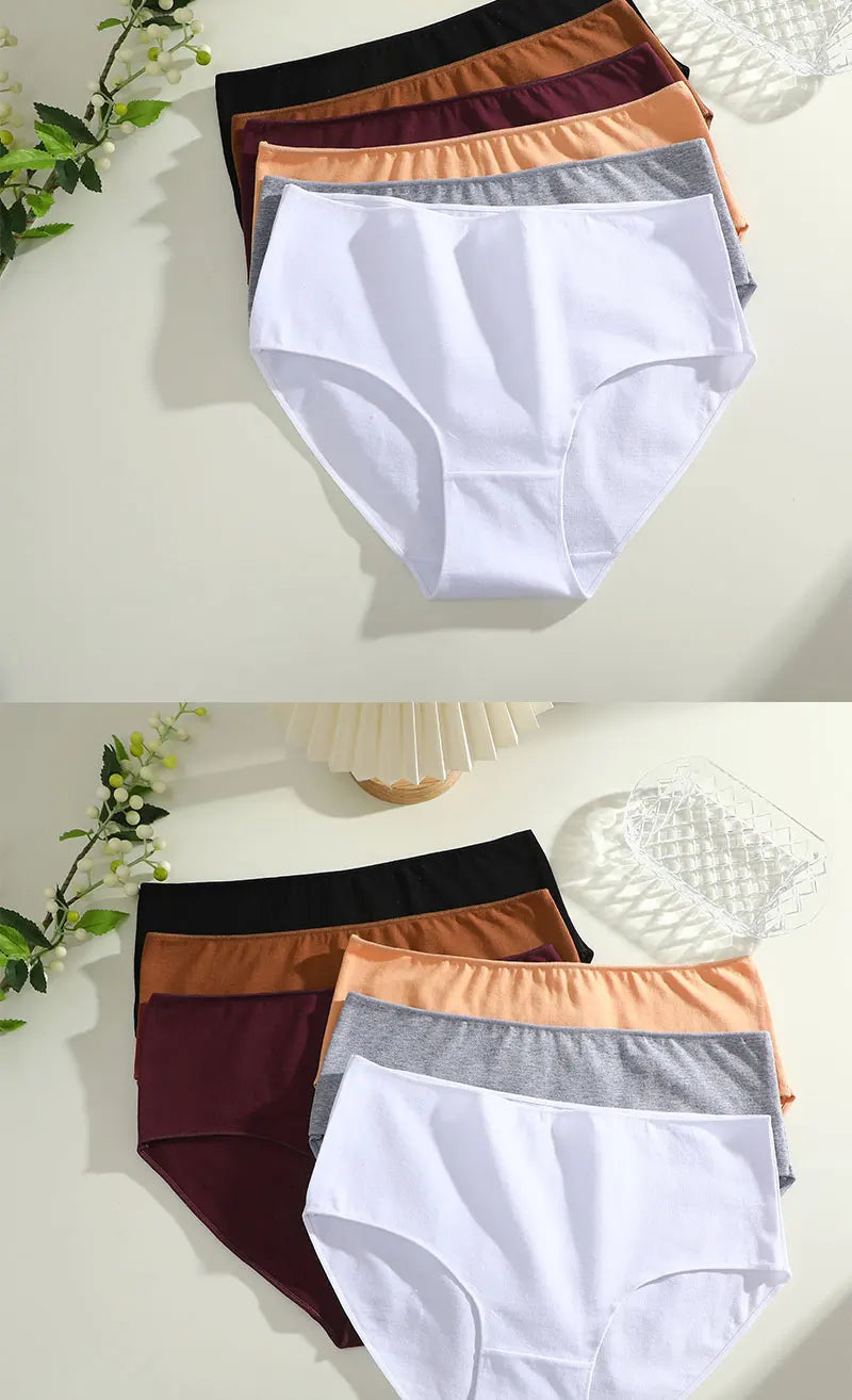 Bravellea Comfort Cotton Panties 4-Pack - High Waist Seamless Briefs Plus Size.